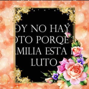 Meet your Posher, Romana